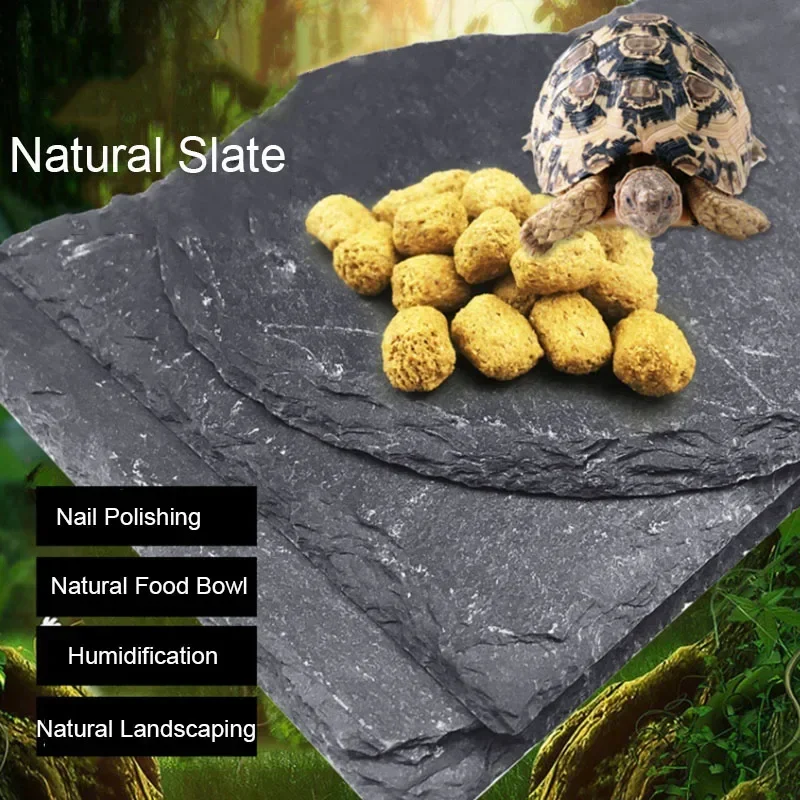 Pet Supplies Fish - Natural Slate Aquarium Pet Reptile Feeder