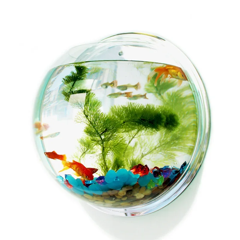 Pet Supplies Fish - Pinsjar Acrylic Cá Bát Treo Tường