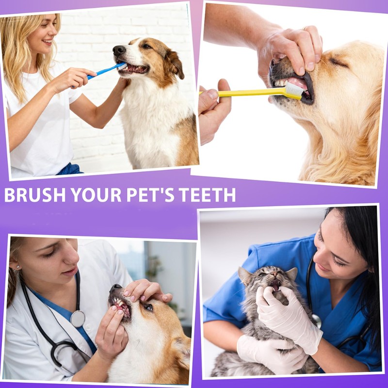 Dog Paw Cleaner - AB66-Dog Oral Hygiene Tool- 60-Headed Dog