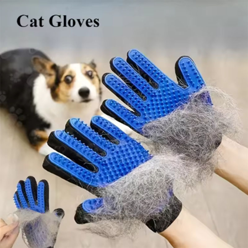 Pet Hair Glove Comb Pet Dog Ca - đánh giá và giá Pet Supplies App