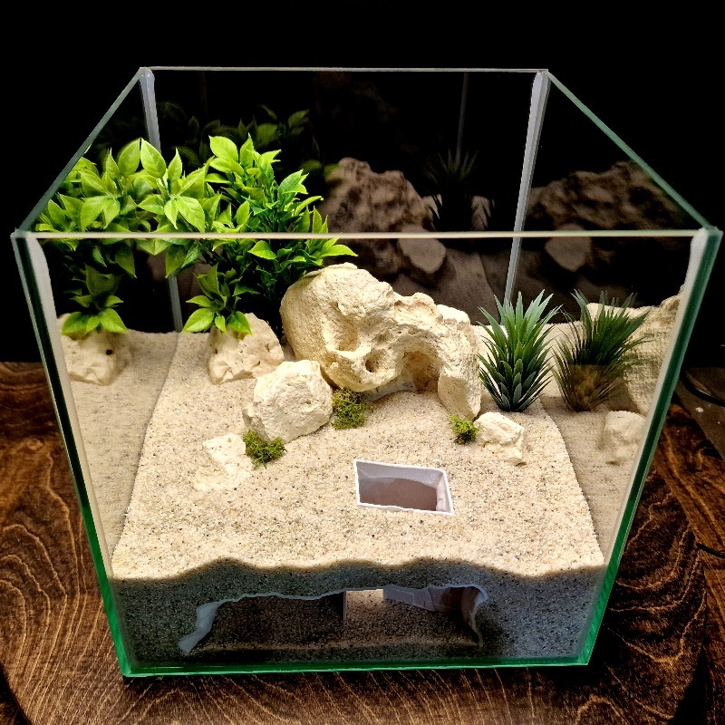 3D Printed Secret House Fish T - đánh giá và giá Pet Supplies Fish