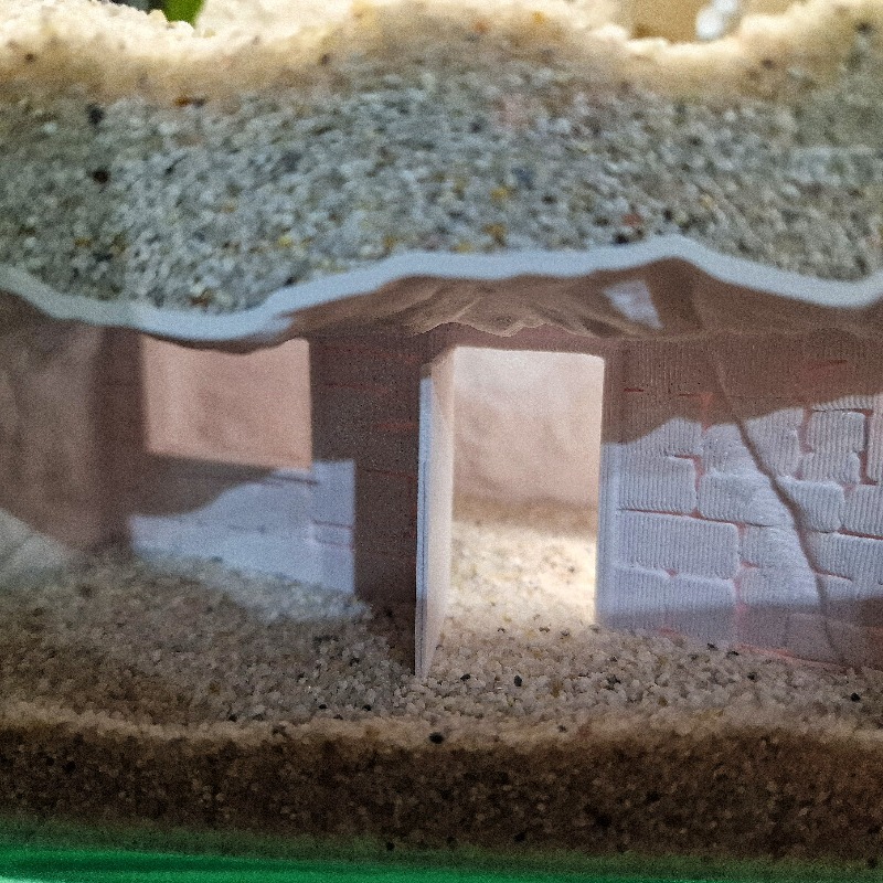 3D Printed Secret House Fish T - đánh giá và giá Pet Supplies Fish