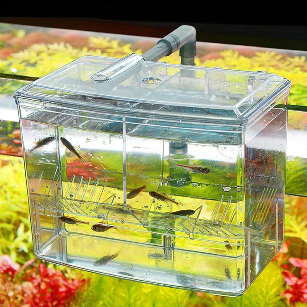 Aquarium Fish Breeding Box for - đánh giá và giá Pet Supplies Fish