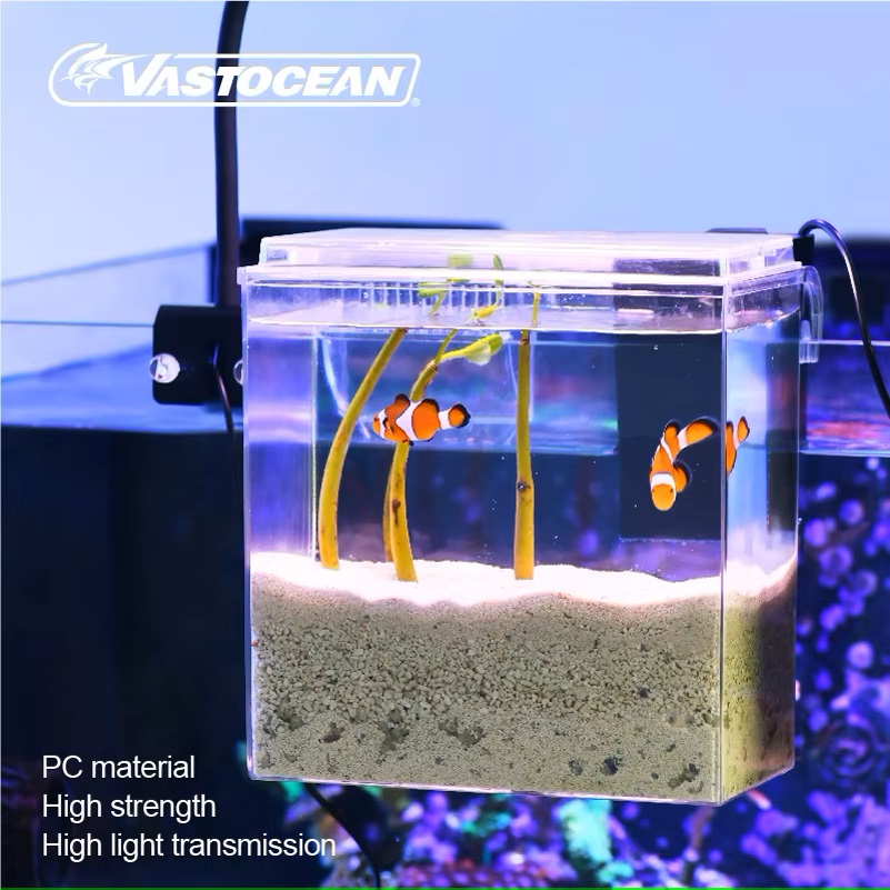 VASTOCEAN Fish Tank External F - đánh giá và giá Pet Supplies Fish