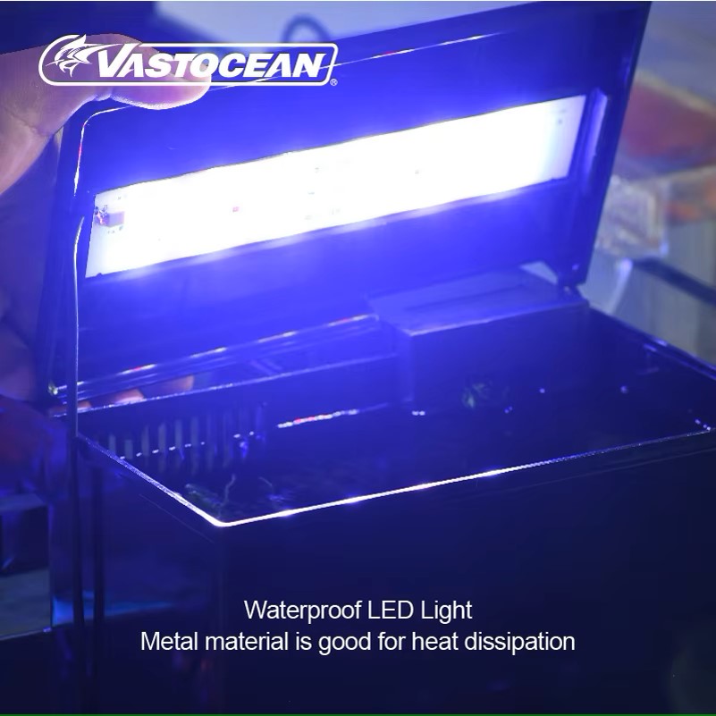 VASTOCEAN Fish Tank External F - đánh giá và giá Pet Supplies Fish