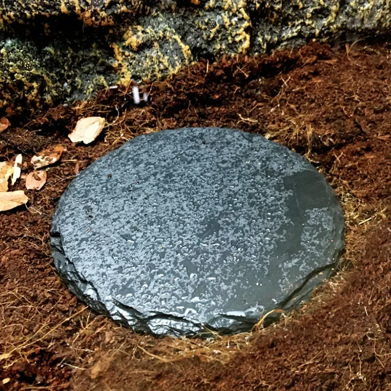 Natural Slate Aquarium Pet Rep - đánh giá và giá Pet Supplies Fish