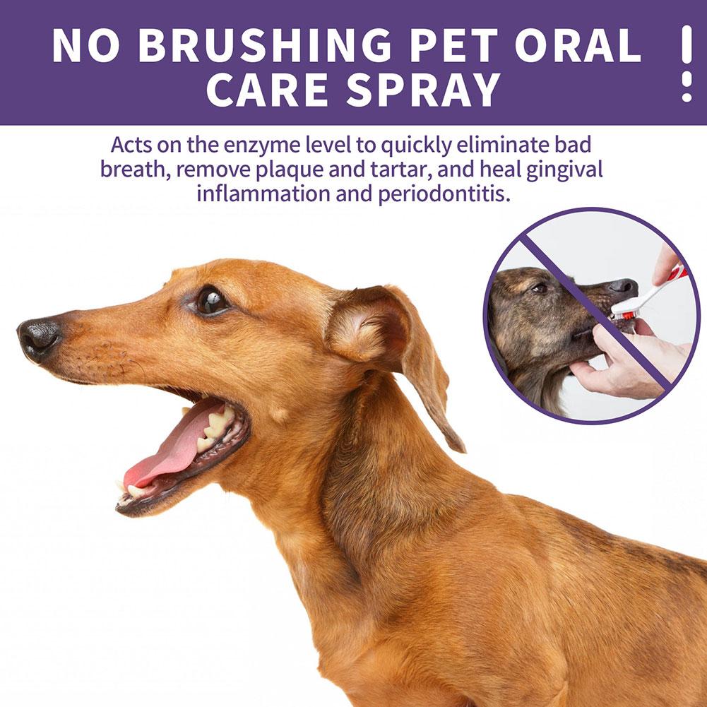 Pet Oral Cleaning Spray Dogs C - đánh giá và giá Pet Supplies App