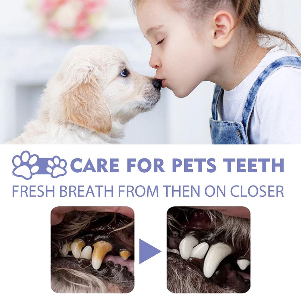 Pet Oral Cleaning Spray Dogs C - đánh giá và giá Pet Supplies App