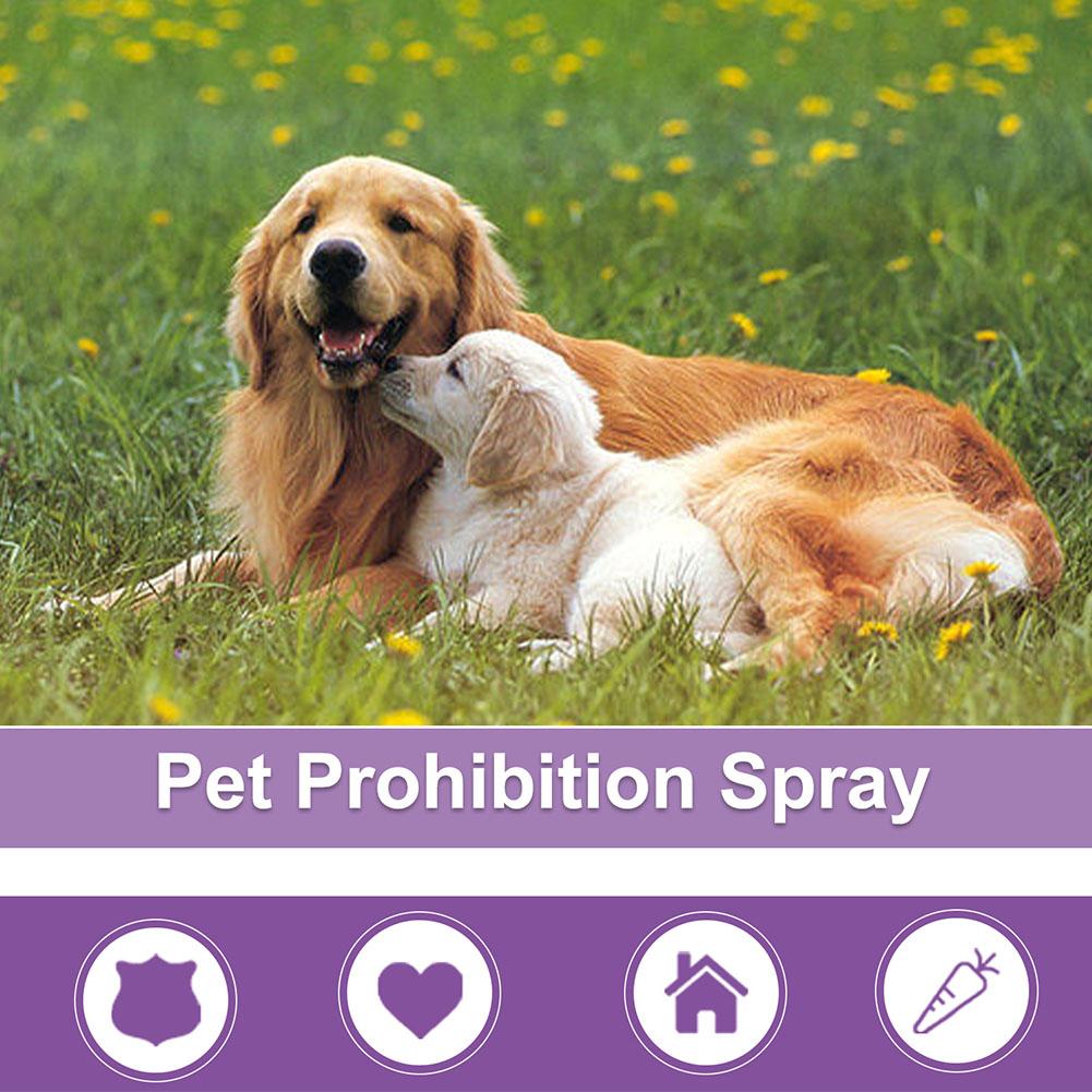 Pet Calming Spray Pet Supplies - đánh giá và giá Pet Supplies App