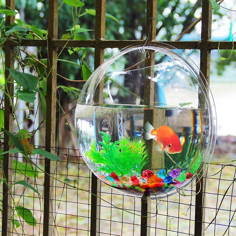 Pinsjar Acrylic Cá Bát Treo Tư - đánh giá và giá Pet Supplies Fish