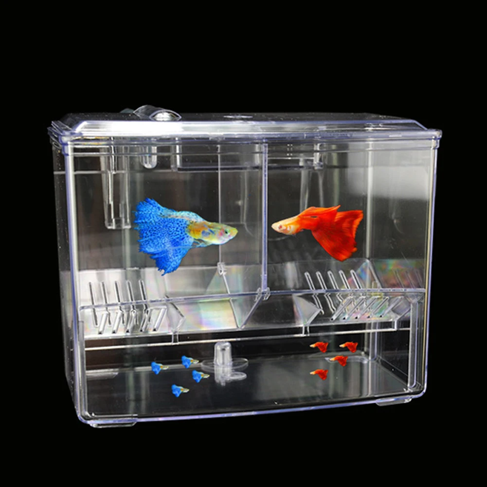 1.25L 2.5L Aquarium Fish Breed - đánh giá và giá Pet Supplies Fish