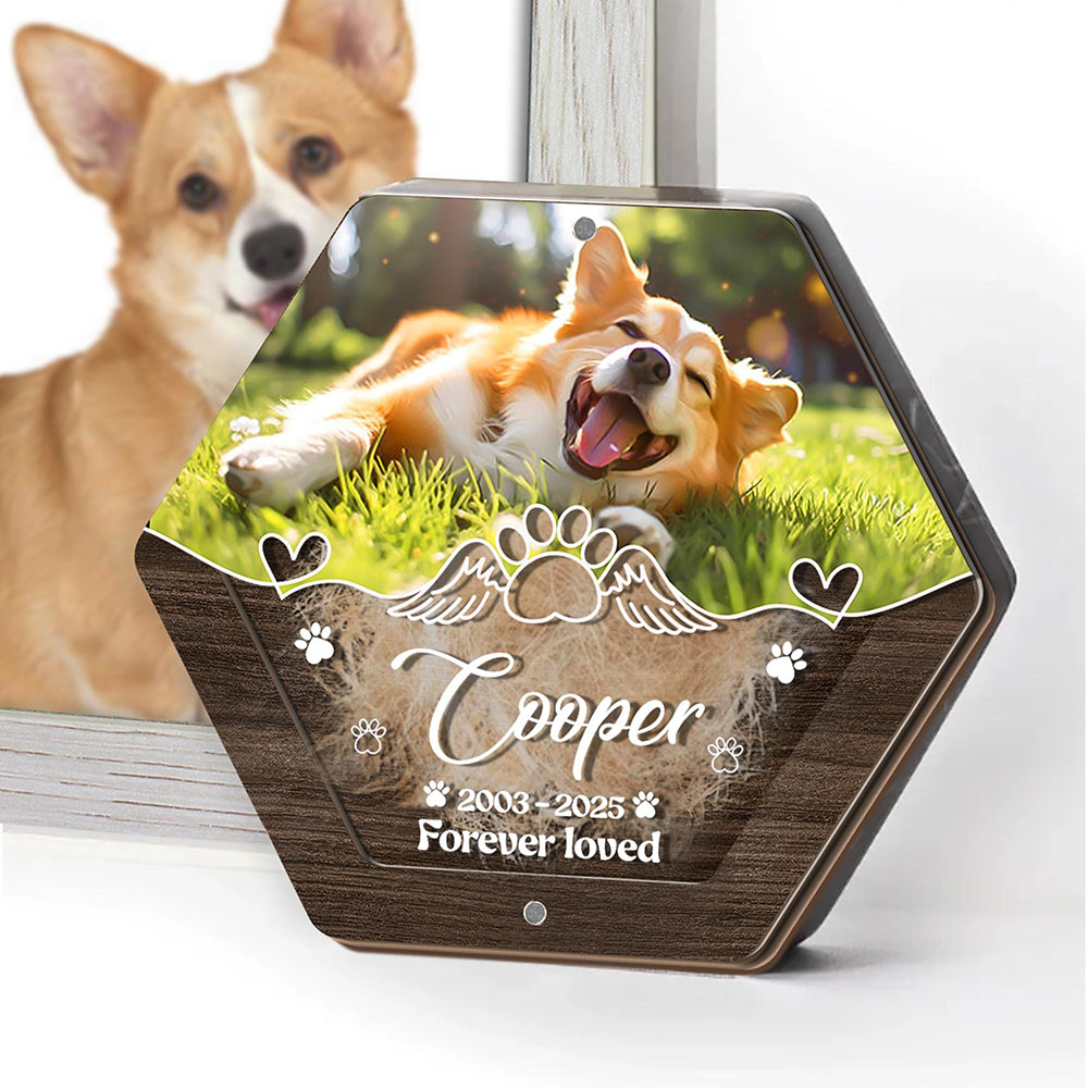 Personalized Name Wooden Carvi - đánh giá và giá Pet Supplies App
