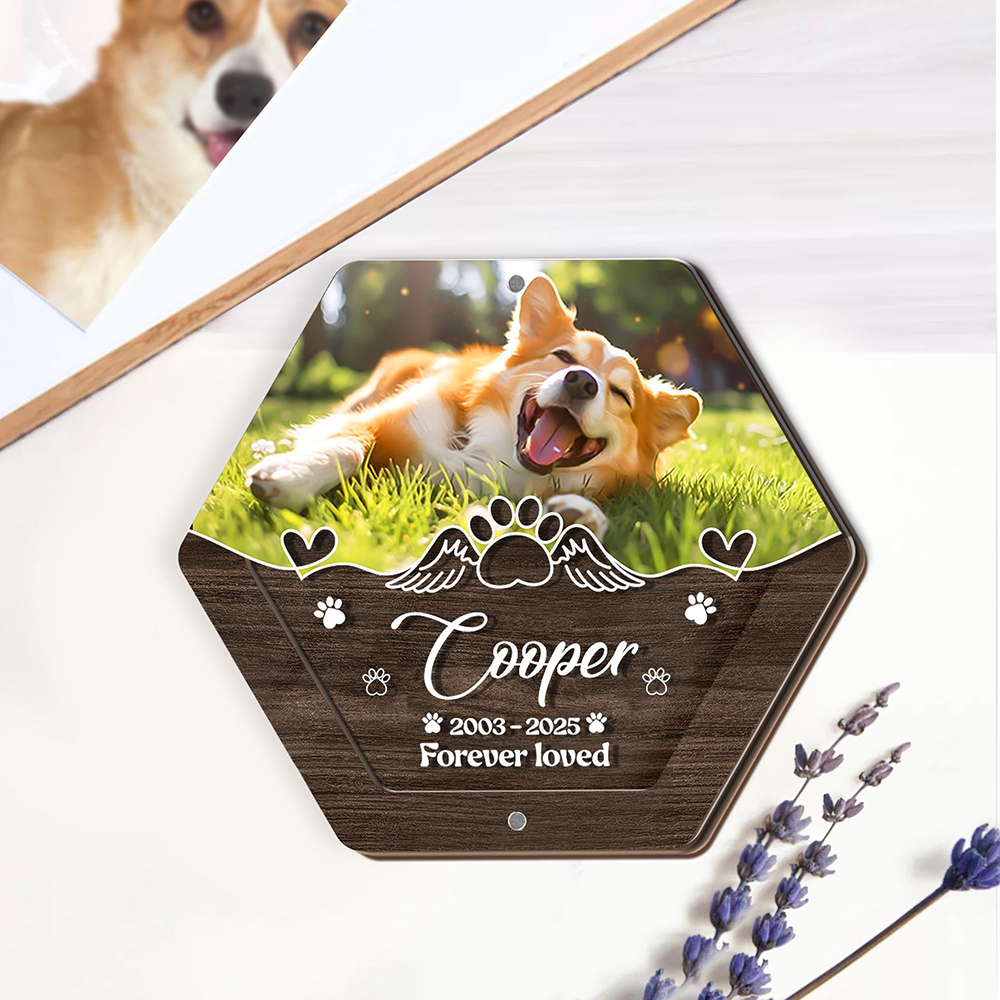 Personalized Name Wooden Carvi - đánh giá và giá Pet Supplies App
