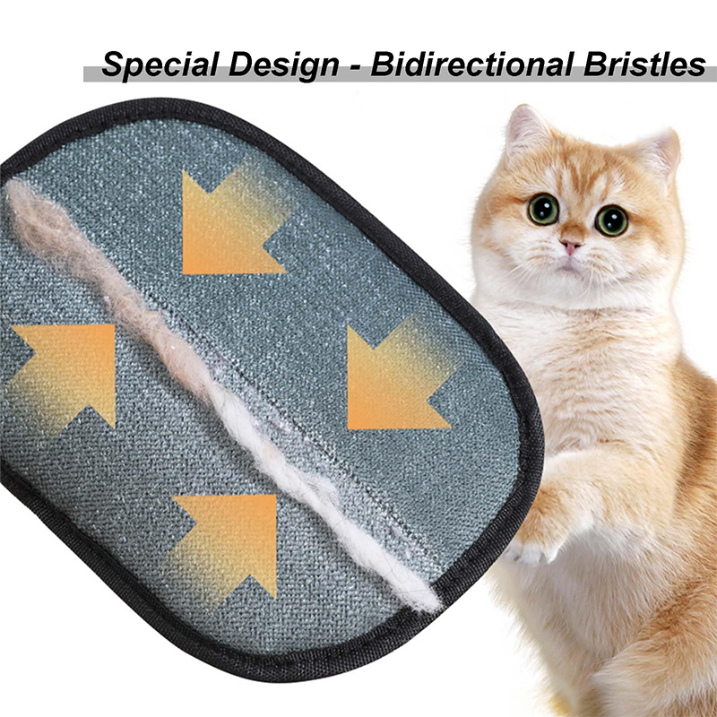 New Electrostatic Pet Grooming - đánh giá và giá Pet Supplies App
