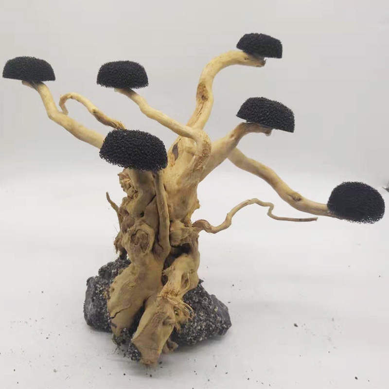 Aquarium Driftwood Landscaping - đánh giá và giá Pet Supplies Fish