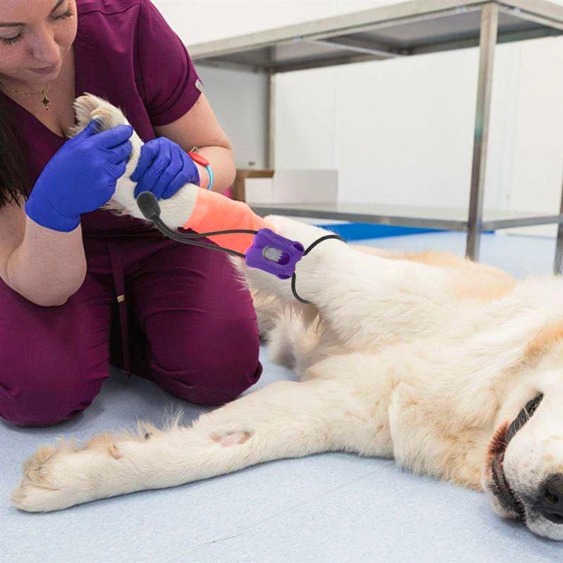 2026 Plastic Pet Tourniquet An - đánh giá và giá Pet Supplies App