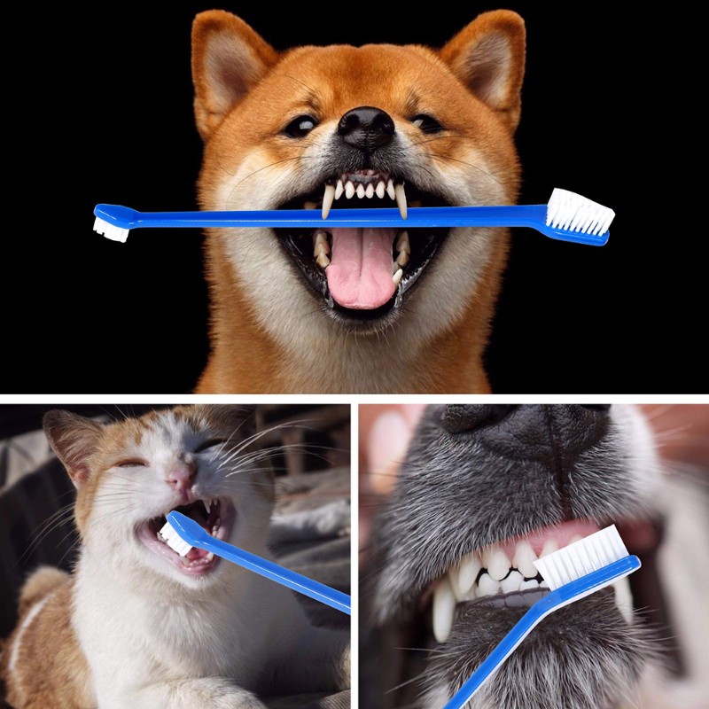 AB66-Dog Oral Hygiene Tool- 60 - đánh giá và giá Dog Paw Cleaner