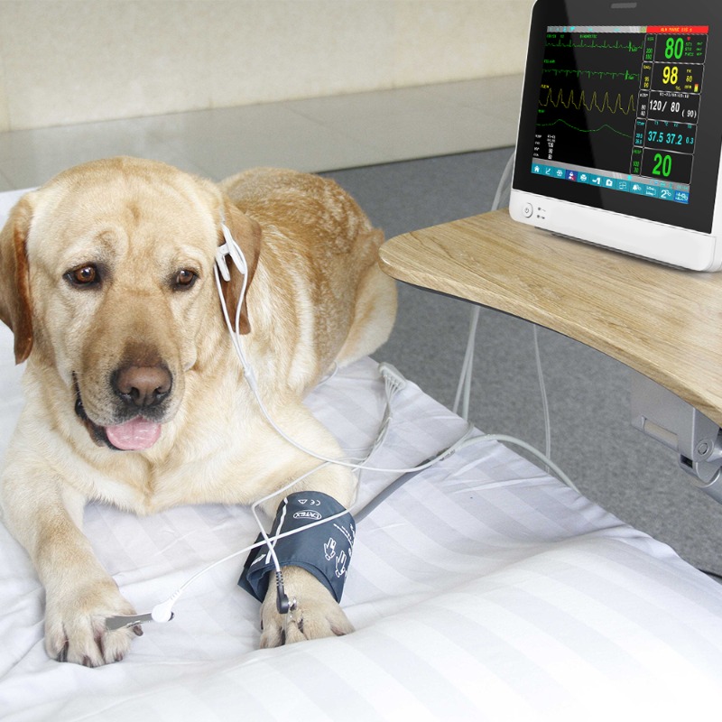 Veterinary Pet Touch Screen Po - đánh giá và giá Pet Supplies Vet