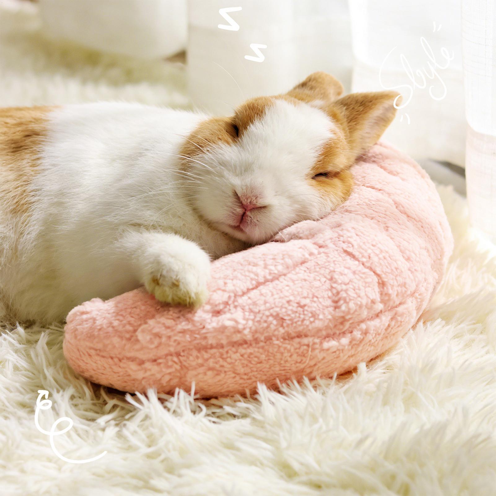 Pet Little Pillow Fashion Neck - đánh giá và giá Pet Supplies App